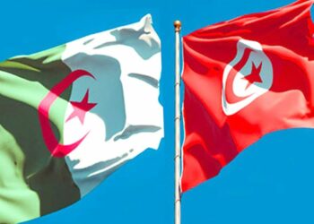 Tunisie-Algérie : réunion de la commission mixte de coopération dans le domaine de la poste et des TIC