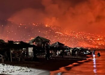 Bizerte : Sidi Ali Mekki dévorée par les flammes