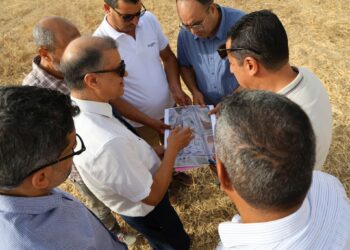 La Tunisie lance son premier projet solaire pour alimenter le réseau autoroutier﻿