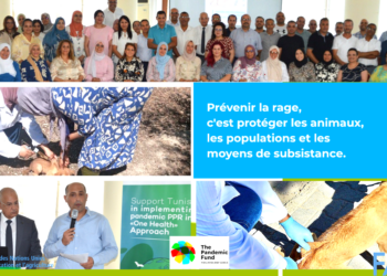 La FAO renforce les capacités nationales de lutte contre la rage animale en Tunisie