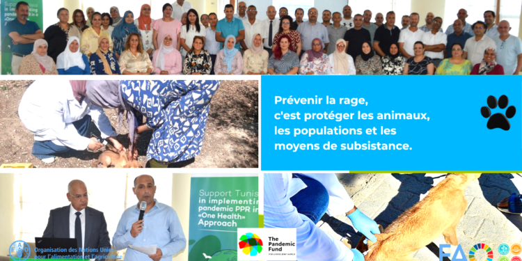 La FAO renforce les capacités nationales de lutte contre la rage animale en Tunisie