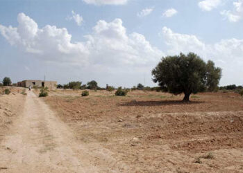 Nord-Ouest: Lancement des projets d’adaptation aux changements climatiques