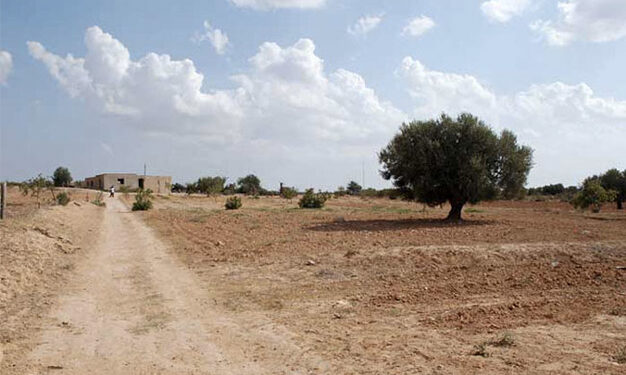 Nord-Ouest: Lancement des projets d’adaptation aux changements climatiques