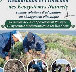 Lancement de deux nouveaux projets pour renforcer la résilience écologique des îles Kneiss
