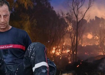Incendies : 4400 hectares de forêts ravagées par le feu entre mai et juillet 2026
