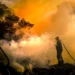 Tunisie: 50 incendies et 200 ha de forêt ravagés depuis le début de l’été