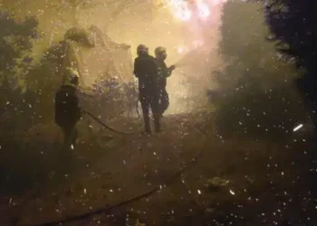 Vague de chaleur en Tunisie : 210 incendies en 24 heures 