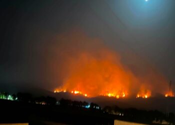 De violents incendies ravagent plusieurs régions du gouvernorat du Kef, les secours pleinement mobilisés