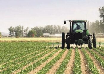 Tunisie: 6,7 MD d’investissements agricoles et trois prêts fonciers approuvés