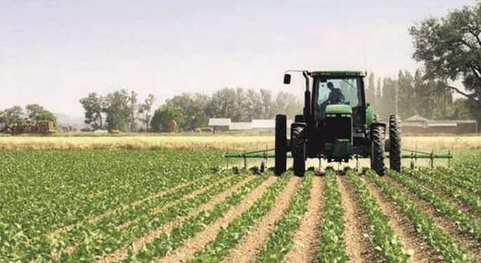 Tunisie: 6,7 MD d’investissements agricoles et trois prêts fonciers approuvés