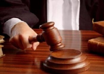 Affaire Jerraya, Abelnadher et Trabelsi : le procès renvoyé au 8 octobre