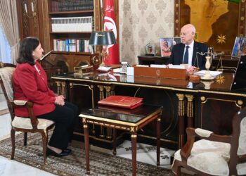 Tunisie : Kaïs Saïed charge la cheffe du gouvernement de présider un Conseil des ministres et dénonce des tentatives de déstabilisation