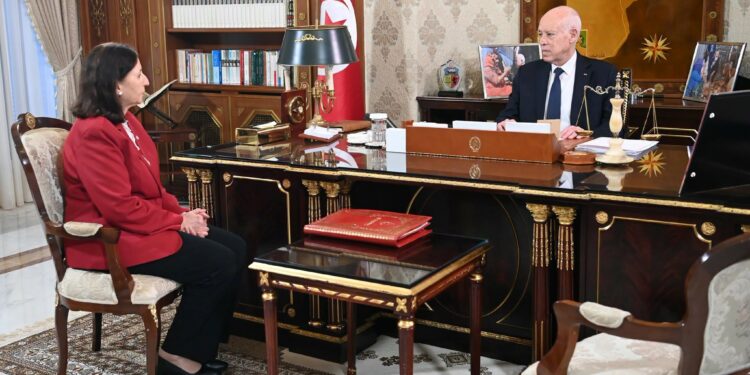Tunisie : Kaïs Saïed charge la cheffe du gouvernement de présider un Conseil des ministres et dénonce des tentatives de déstabilisation