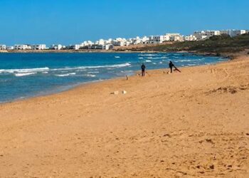 Érosion: Nouveau report de l’appel d’offres pour protéger le littoral de Gammarth à Carthage