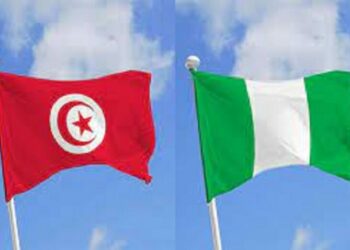 Tunisie-Nigeria: une centrale solaire, une usine de drones et un projet d’eau potable