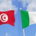 Tunisie-Nigeria: une centrale solaire, une usine de drones et un projet d’eau potable