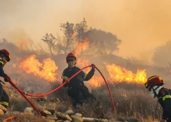 Protection civile: 296 incendies maîtrisés en 24 heures…