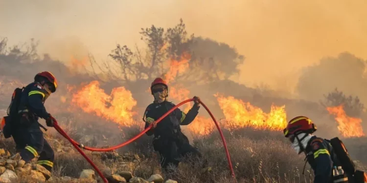 Protection civile: 296 incendies maîtrisés en 24 heures…