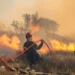Protection civile: 296 incendies maîtrisés en 24 heures…