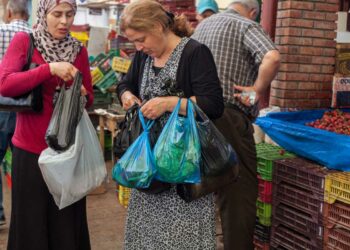 Plastique : La Tunisie consomme environ 4,2 milliards de sacs par an
