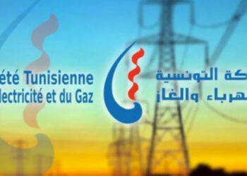 ARP : examen de deux accords de prêt avec la BIRD de 430 M de dollars au profit de la STEG