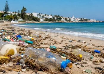Quand un touriste interpelle Kaïs Saïed sur la gestion préoccupante des déchets en Tunisie !