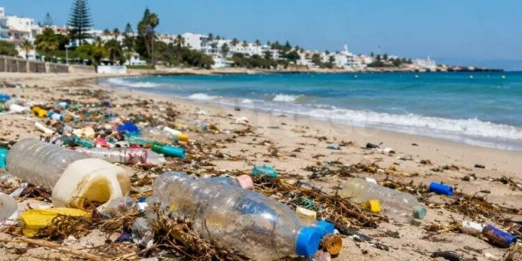 Quand un touriste interpelle Kaïs Saïed sur la gestion préoccupante des déchets en Tunisie !