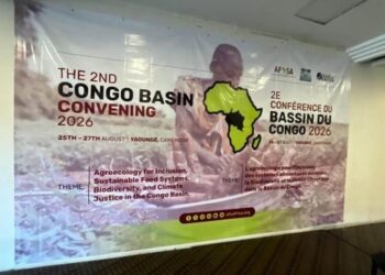 Afrique : adoption de la « Déclaration de Yaoundé » pour imposer l&rsquo;agroécologie face à la crise forestière et alimentaire﻿