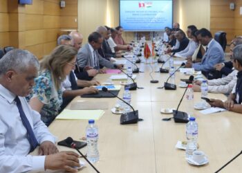 Commerce : Une délégation d&rsquo;hommes d&rsquo;affaires indiens en visite à Tunis pour booster la coopération économique﻿