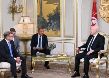 Le président Kais Saïed,  reçoit le ministre allemand des affaires étrangères