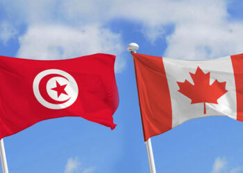 Trente bourses universitaires destinées à la réalisation de projets de fin d&rsquo;études au Canada﻿