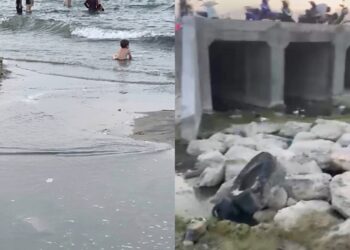 Bizerte : la plage Sidi Salem contaminée par la Salmonelle et les Streptocoques intestinaux ?