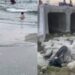 Bizerte : la plage Sidi Salem contaminée par la Salmonelle et les Streptocoques intestinaux ?