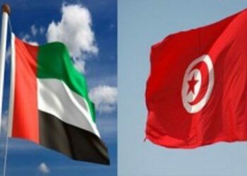 Tunisiens aux Émirats : l&rsquo;ambassade organise une opération cartes d&rsquo;identité du 1er au 10 octobre﻿