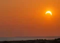 Éclipse solaire en Tunisie: Ce soir, près de 60% du Soleil sera occulté