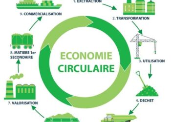 Économie circulaire : le WWF Afrique du Nord lance un projet pour valoriser les déchets marins