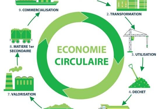 Économie circulaire : le WWF Afrique du Nord lance un projet pour valoriser les déchets marins
