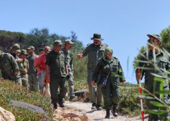 Bizerte-incendie : Une équipe technique pour évaluer les dégâts et élaborer un plan de réhabilitation