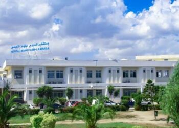 Des experts britanniques à Tunis pour former les médecins aux techniques avancées d’endoscopie