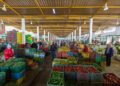 Marché de Bir El Kassâa : Amélioration de l&rsquo;approvisionnement et baisse des prix en juin et juillet 2026﻿