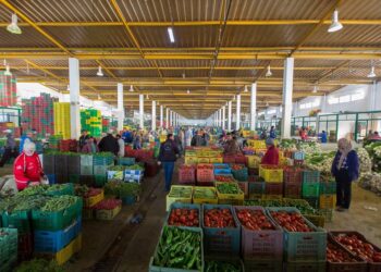 Marché de Bir El Kassâa : Amélioration de l&rsquo;approvisionnement et baisse des prix en juin et juillet 2026﻿