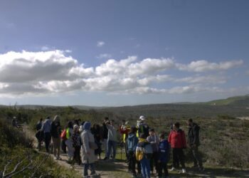 Campagne nationale pour planter 200 000 arbres au mont Nadhour (Bizerte)﻿