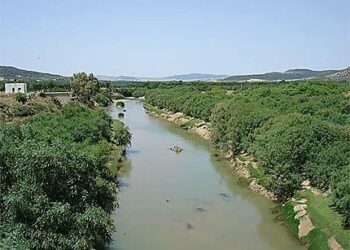Pollution à Radès: Plus de 120 usines déversent leurs déchets dans l’oued Meliane