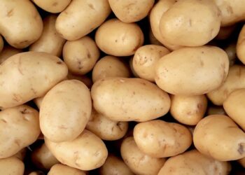 Tunisie: 61% du stock national de pommes de terre entreposé à Nabeul