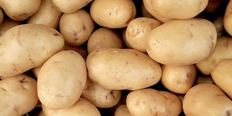 Tunisie: 61% du stock national de pommes de terre entreposé à Nabeul