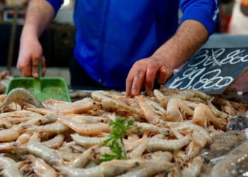 Produits de la pêche: L’UE impose à la Tunisie une mise en conformité des emballages