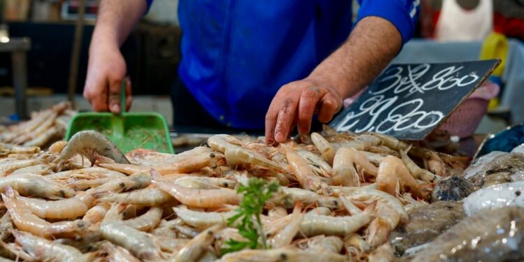 Produits de la pêche: L’UE impose à la Tunisie une mise en conformité des emballages