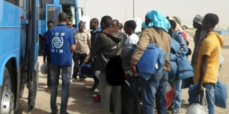 Migrants irréguliers : 80 subsahariens rapatriés vers leurs pays d’origine