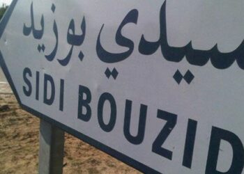 Sidi Bouzid: Plusieurs superficies agricoles endommagées par la canicule