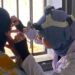 Caravane sanitaire à Mahdia: Près de 400 citoyens bénéficient de soins multidisciplinaires gratuits